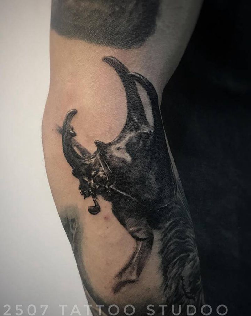 甲虫纹身图片_手臂欧美写实甲虫纹身图案