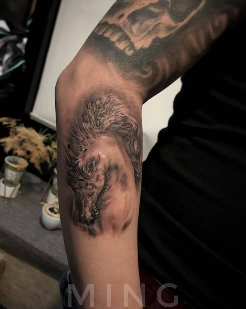 一匹小马纹身图片_手臂欧美写实马纹身图案