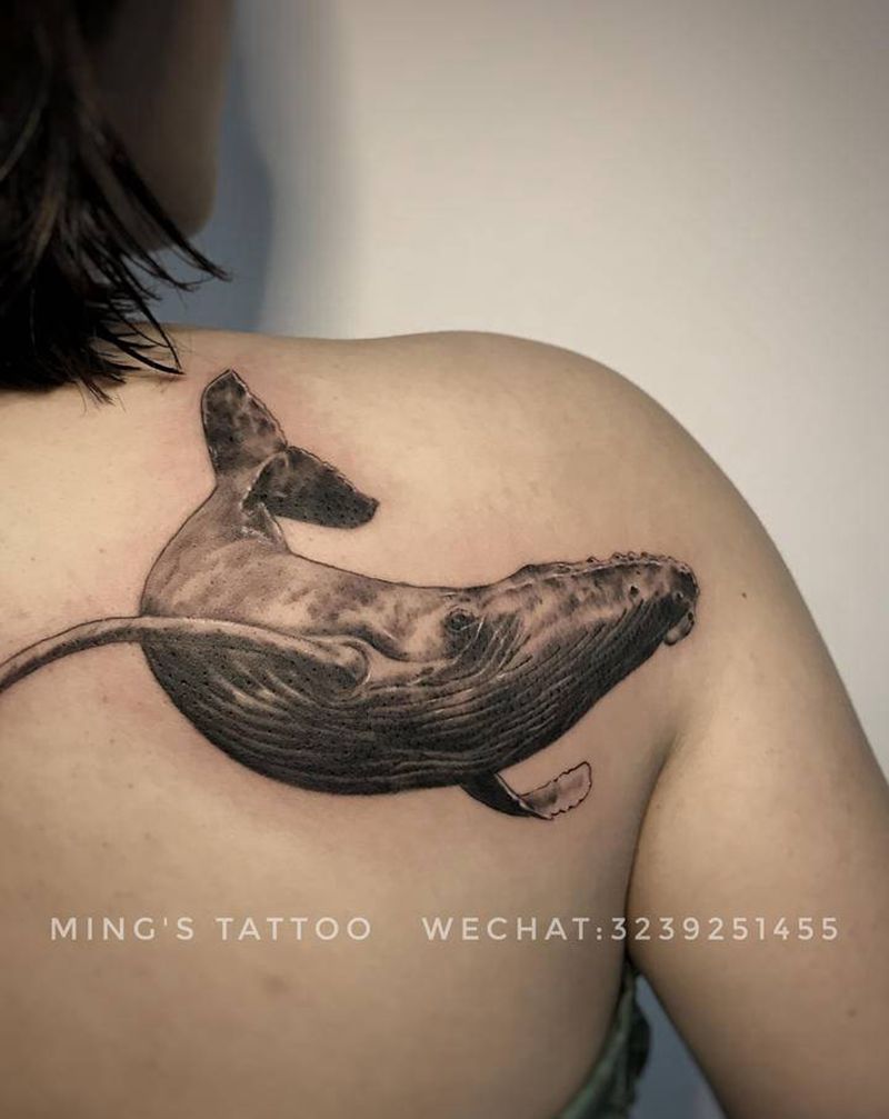 一枚小鲸鱼纹身图片_背部欧美写实鲸鱼纹身图案