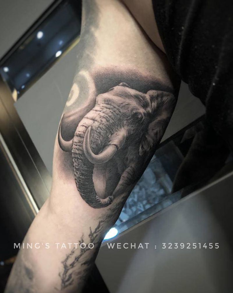 大笨象纹身图片_手臂欧美写实象纹身图案
