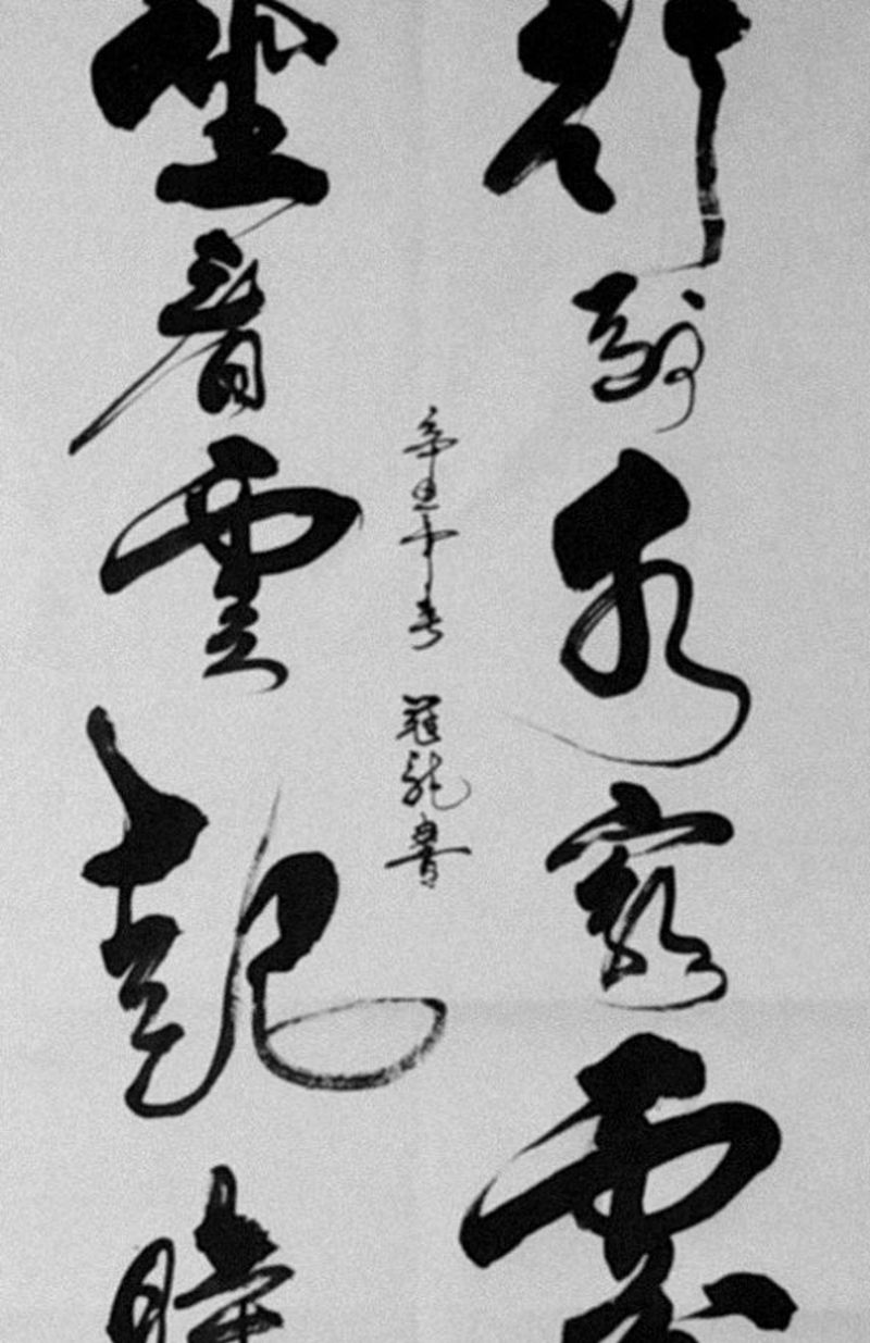 最近一些书法练习纹身图片_水墨纹身图案