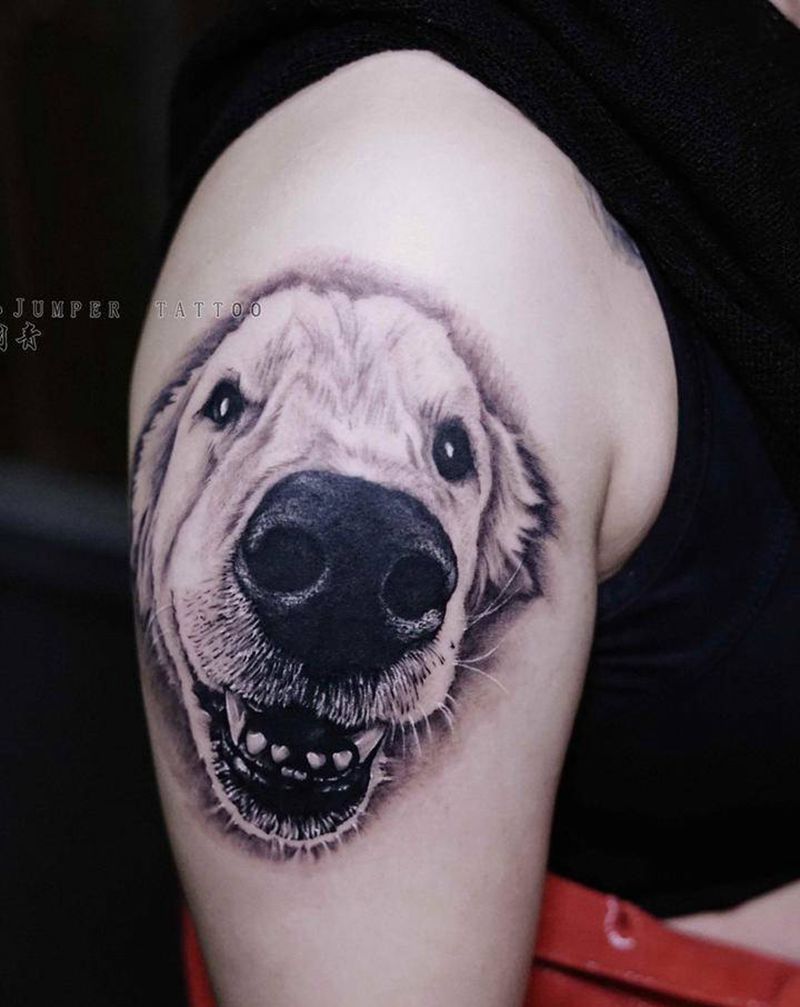 可爱金毛犬纹身图片_手臂写实纹身图案