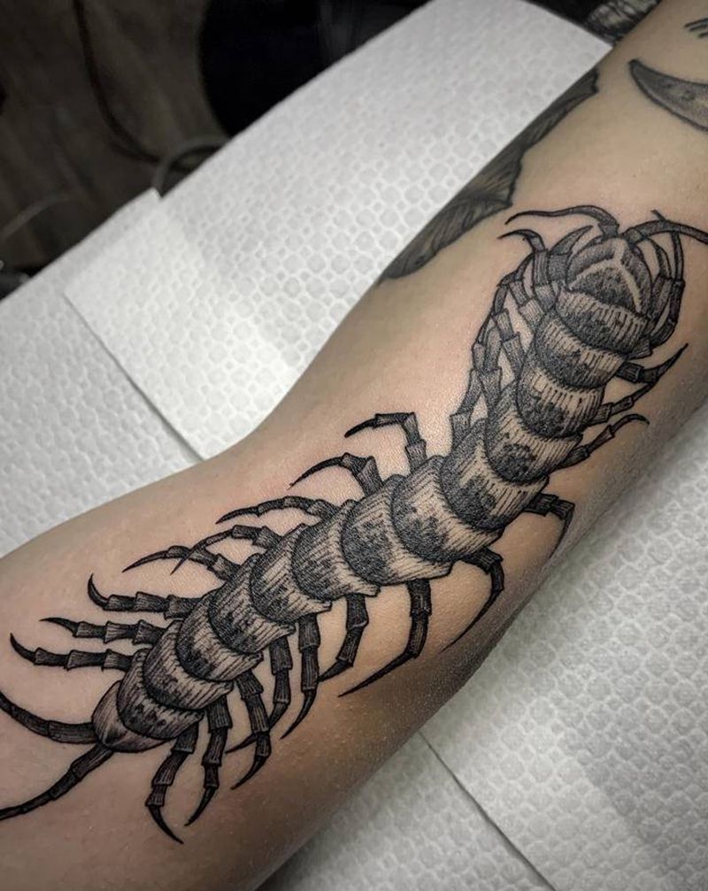 蜈蚣纹身图片_手臂Old School点刺纹身图案