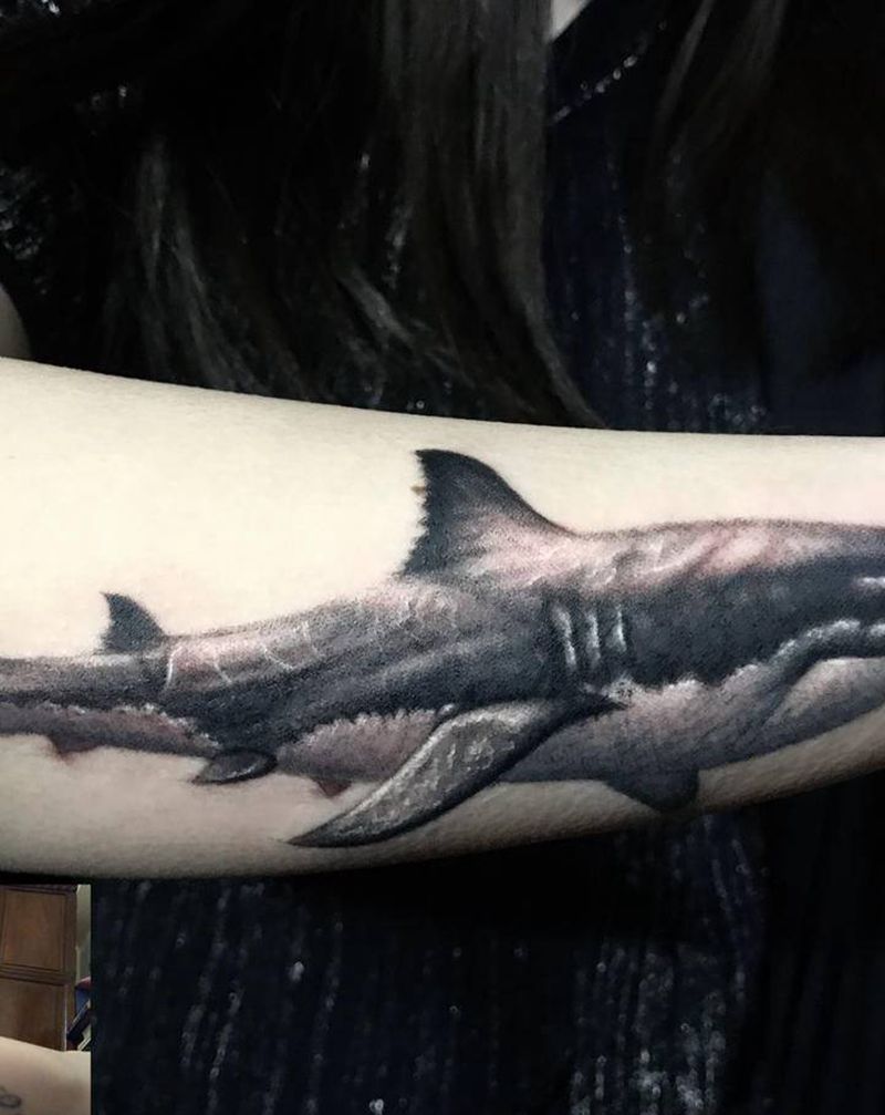 小白鲨纹身图片_新传统欧美写实纹身图案