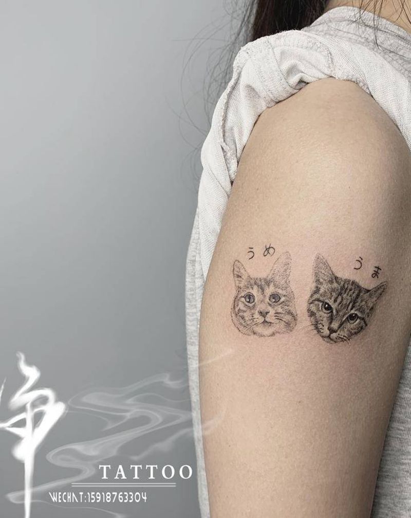 猫咪纹身纹身图片_手臂欧美写实猫宠物纹身图案
