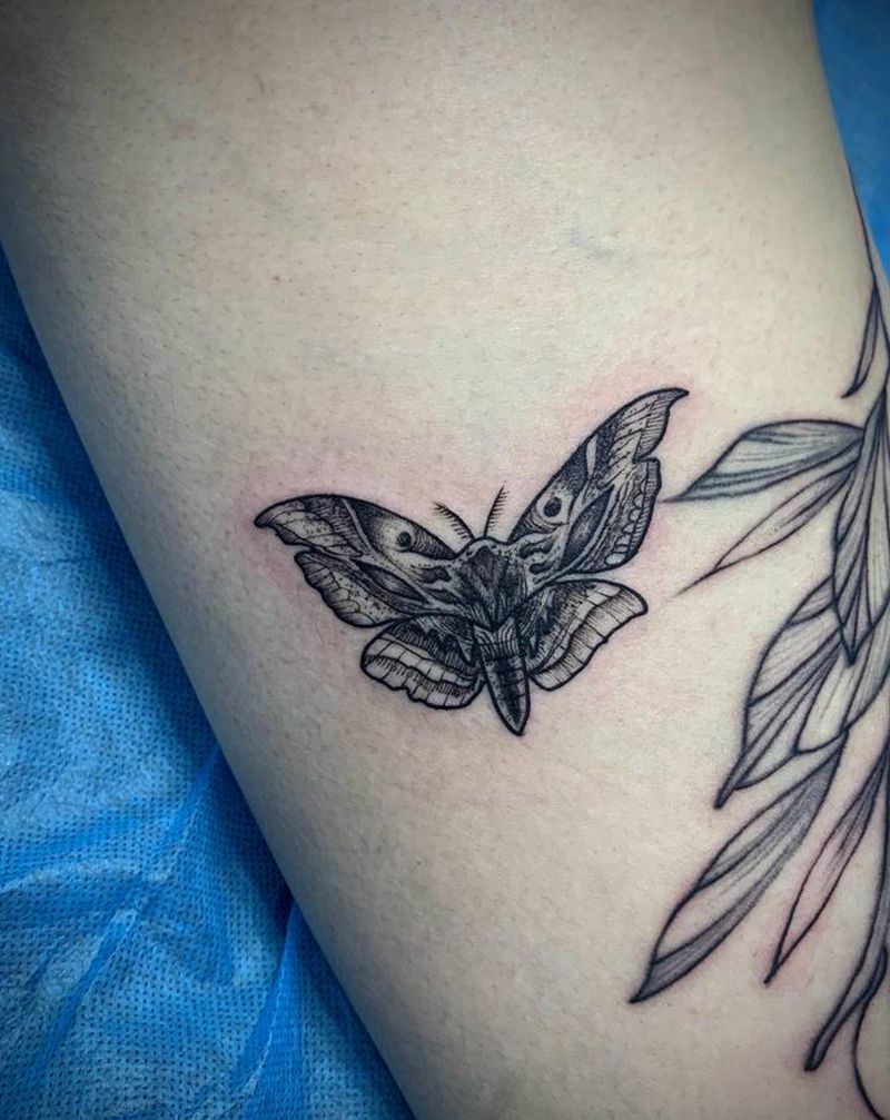 大蛾子纹身图片_Old School点刺纹身图案