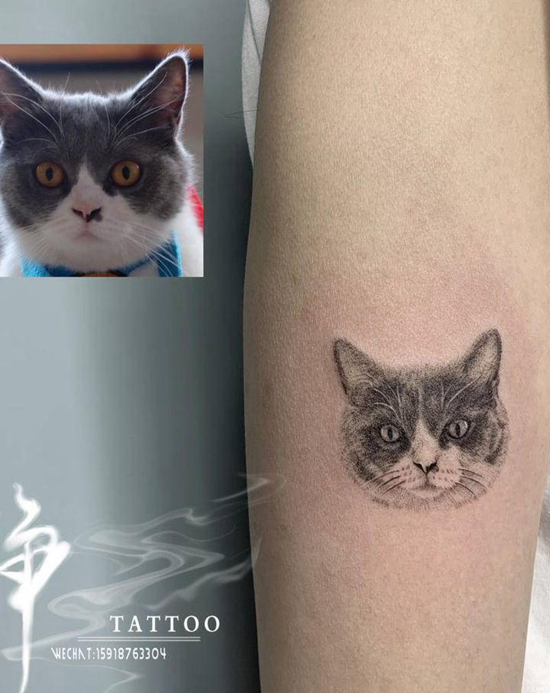 宠物纹身纹身图片_手臂手部欧美写实点刺猫宠物纹身图案