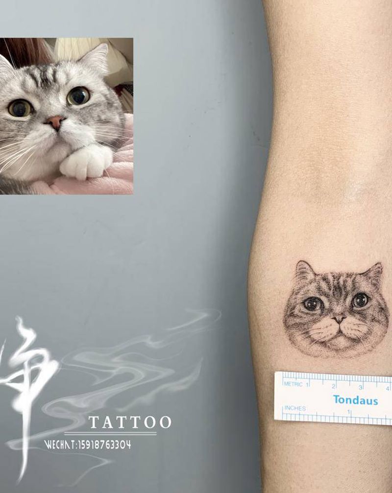 猫咪纹身纹身图片_手臂手部欧美写实点刺猫宠物纹身图案