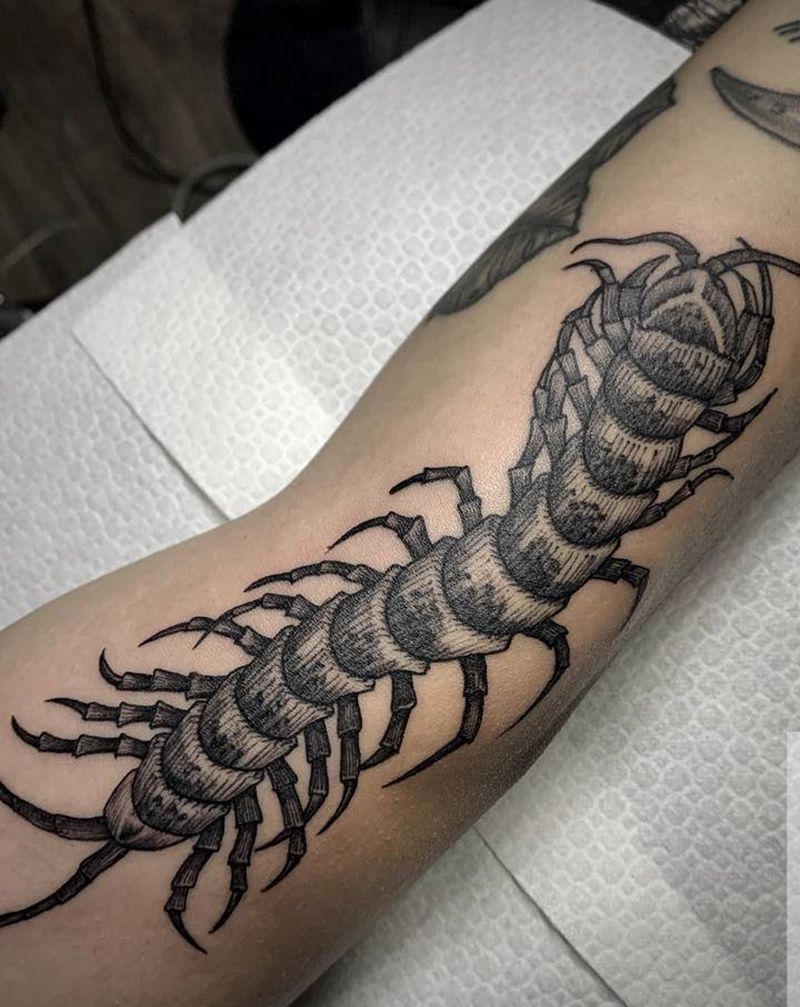 蜈蚣纹身图片_手臂纹身图案