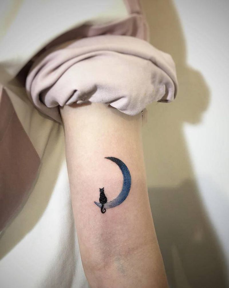 蓝月亮与孤独猫