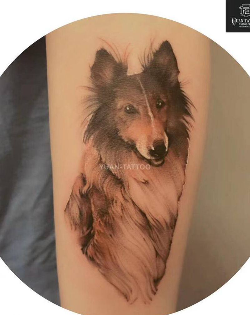 亲人纹身图片_手臂水彩爱宠彩色纪念纹身图案