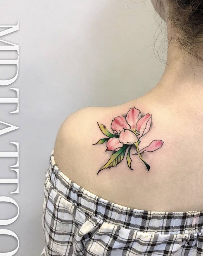 樱花纹身图片_背部水彩水墨樱花纹身图案