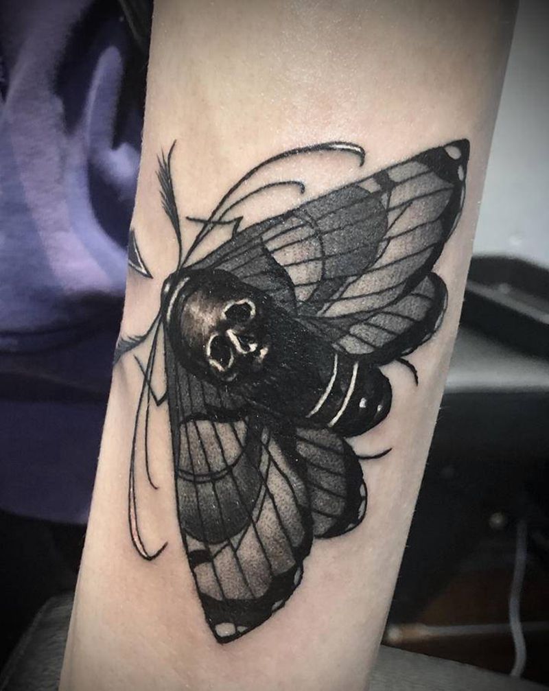 飞蛾纹身图片_手部欧美写实纹身图案