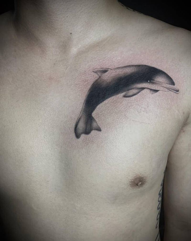 海豚 遮盖纹身图片_胸部水墨欧美写实纹身图案
