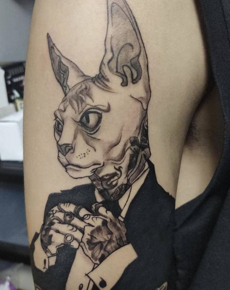 无毛斯芬 克斯猫纹身图片_手臂Old SchoolNew School纹身图案