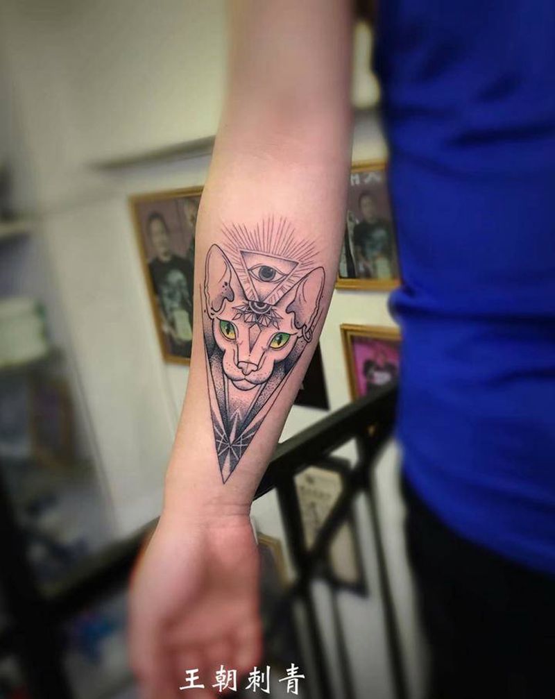 无毛猫纹身图片_手臂点刺新传统无毛猫纹身图案