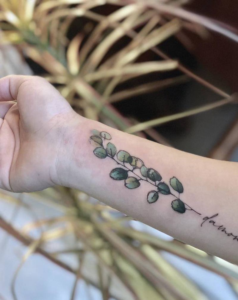 尤加利叶 它的花语为恩赐纹身图片_手臂水彩点刺纹身图案