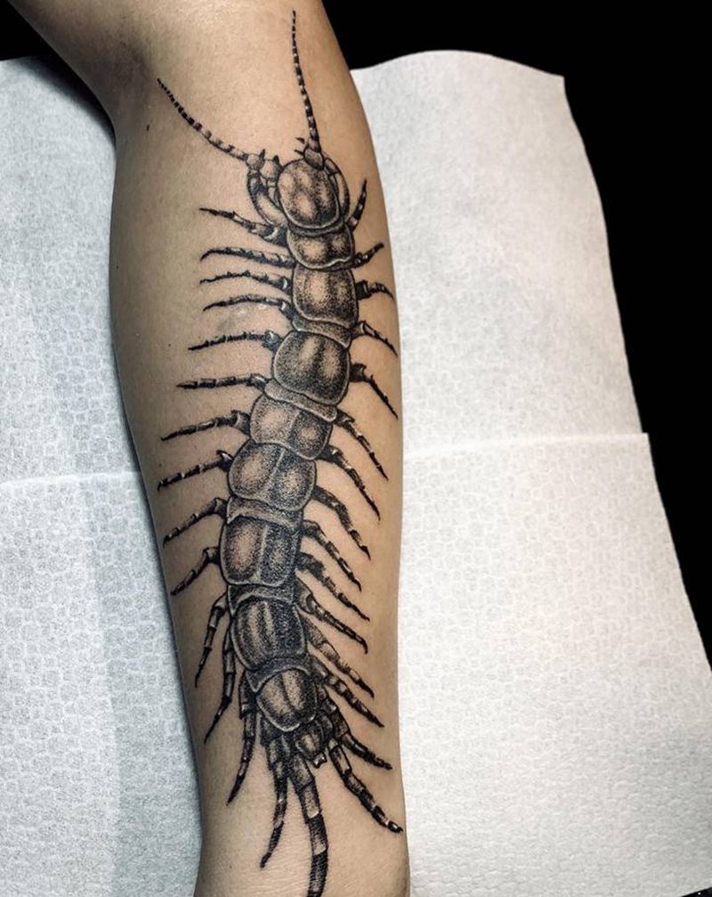 蜈蚣纹身图片_手部手臂欧美写实纹身图案