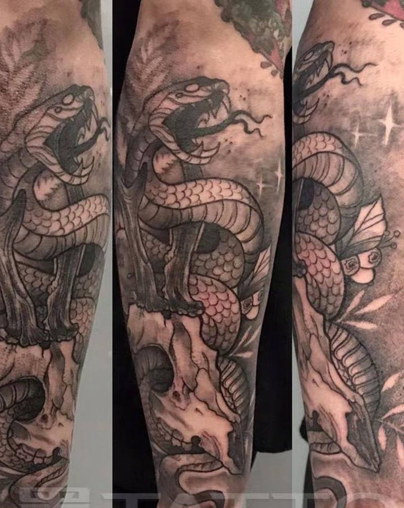 欧美蛇纹身图片_手臂欧美写实纹身图案
