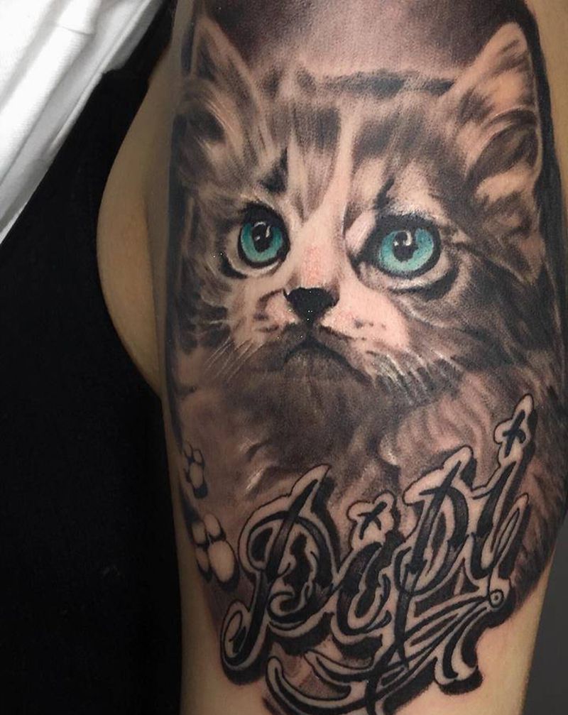 猫纹身图片_手臂欧美写实纹身图案