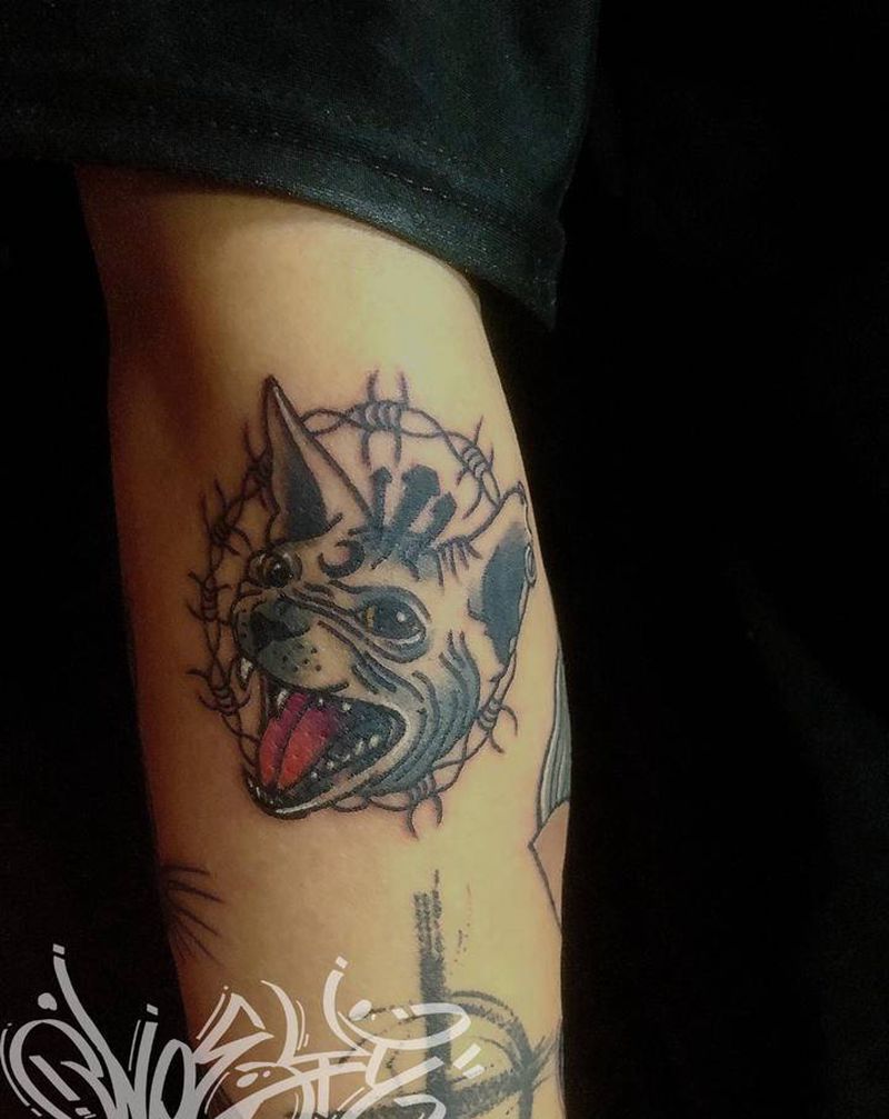 原设暗黑猫纹身图片_手臂Old School纹身图案