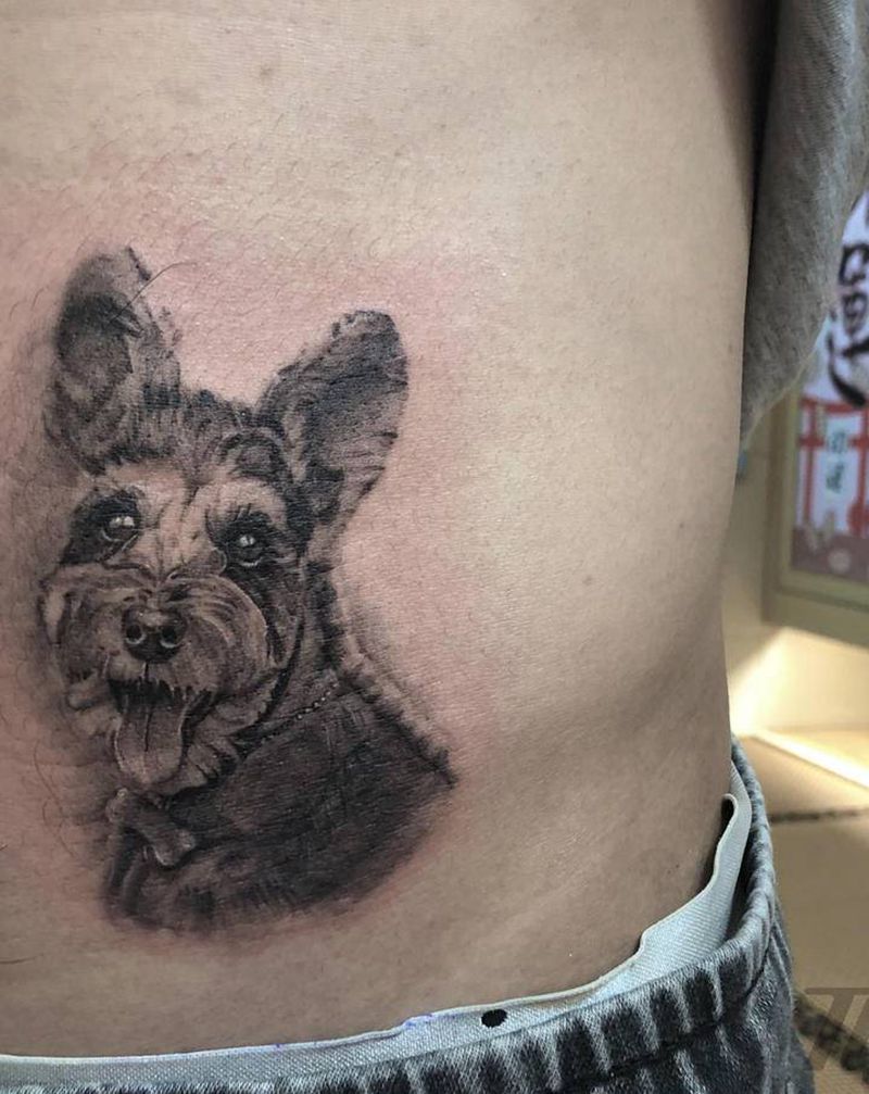 雪纳瑞纹身图片_腹部腰部欧美写实狗雪纳瑞写实纹身图案