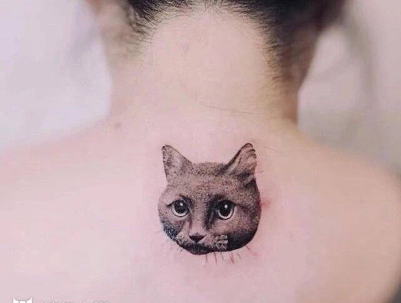 猫纹身图片_新传统纹身图案