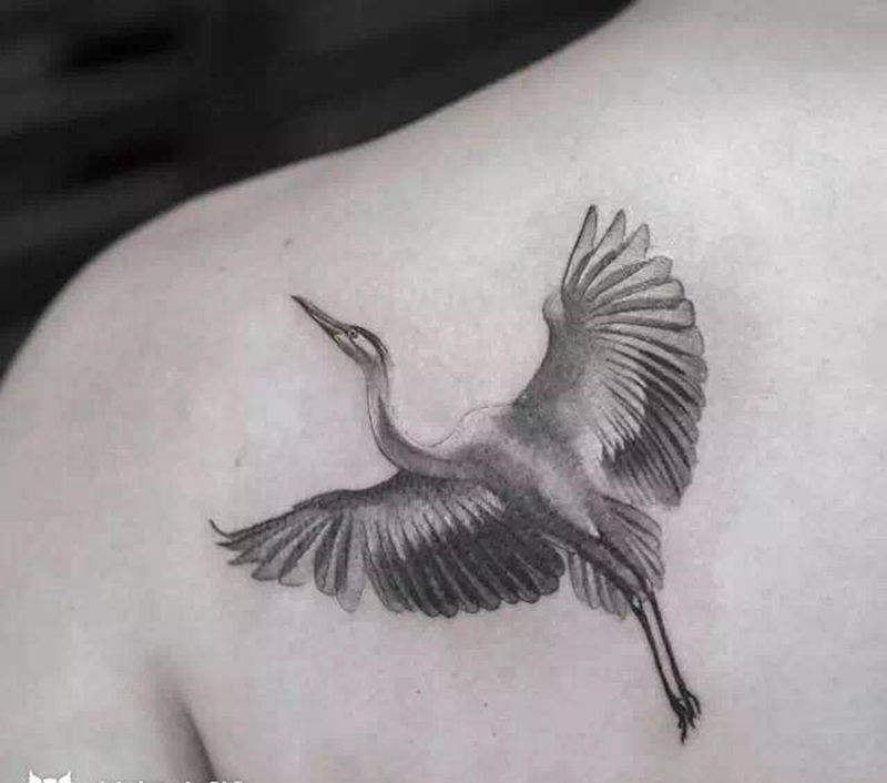 鹤纹身图片_新传统纹身图案