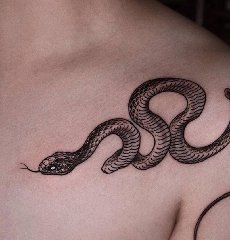 蛇纹身图片_新传统纹身图案