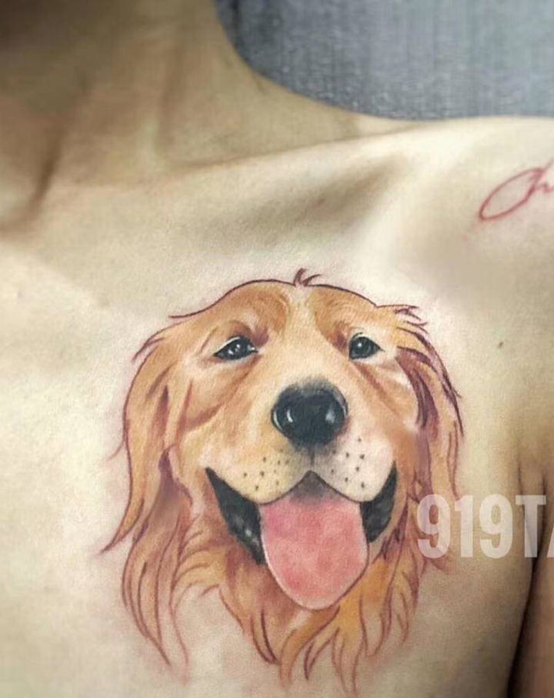 金毛纹身图片_肩部欧美写实纹身图案