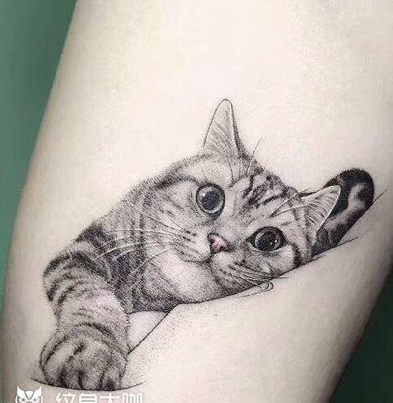 小猫咪纹身图片_手臂纹身图案