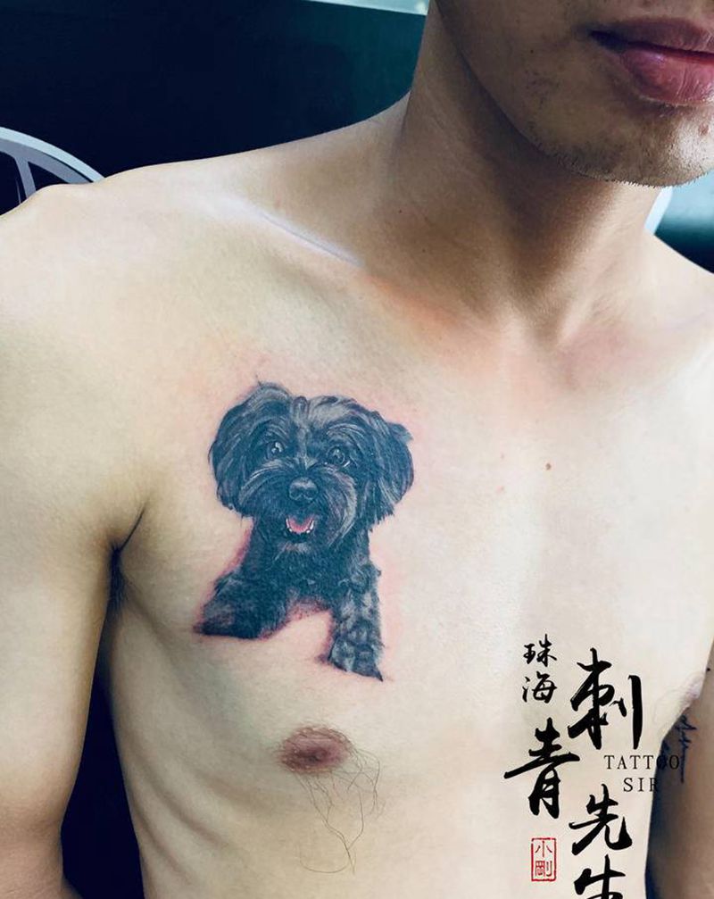 写实狗狗（西施）纹身图片_胸部欧美写实纹身图案
