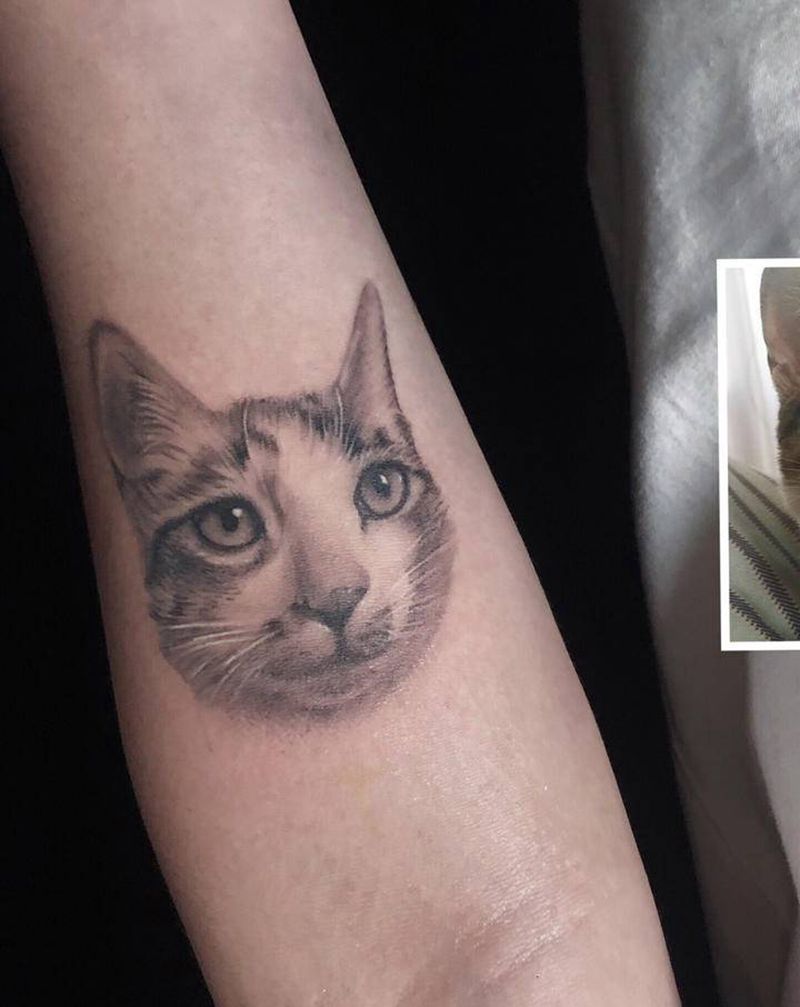 猫纹身图片_手臂纹身图案