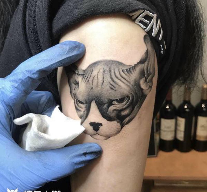 客户家的猫咪 写实纹身图片_手臂欧美写实纹身图案