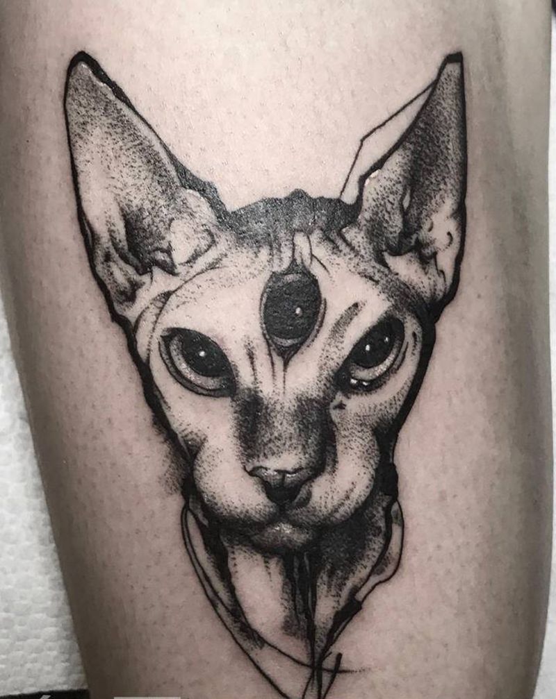 点刺比鲁斯纹身图片_腿部点刺纹身图案