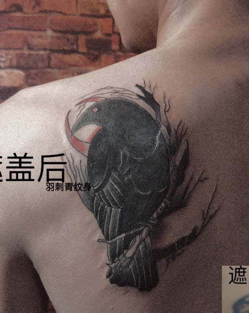 乌鸦纹身作品纹身图片_肩部背部纹身图案