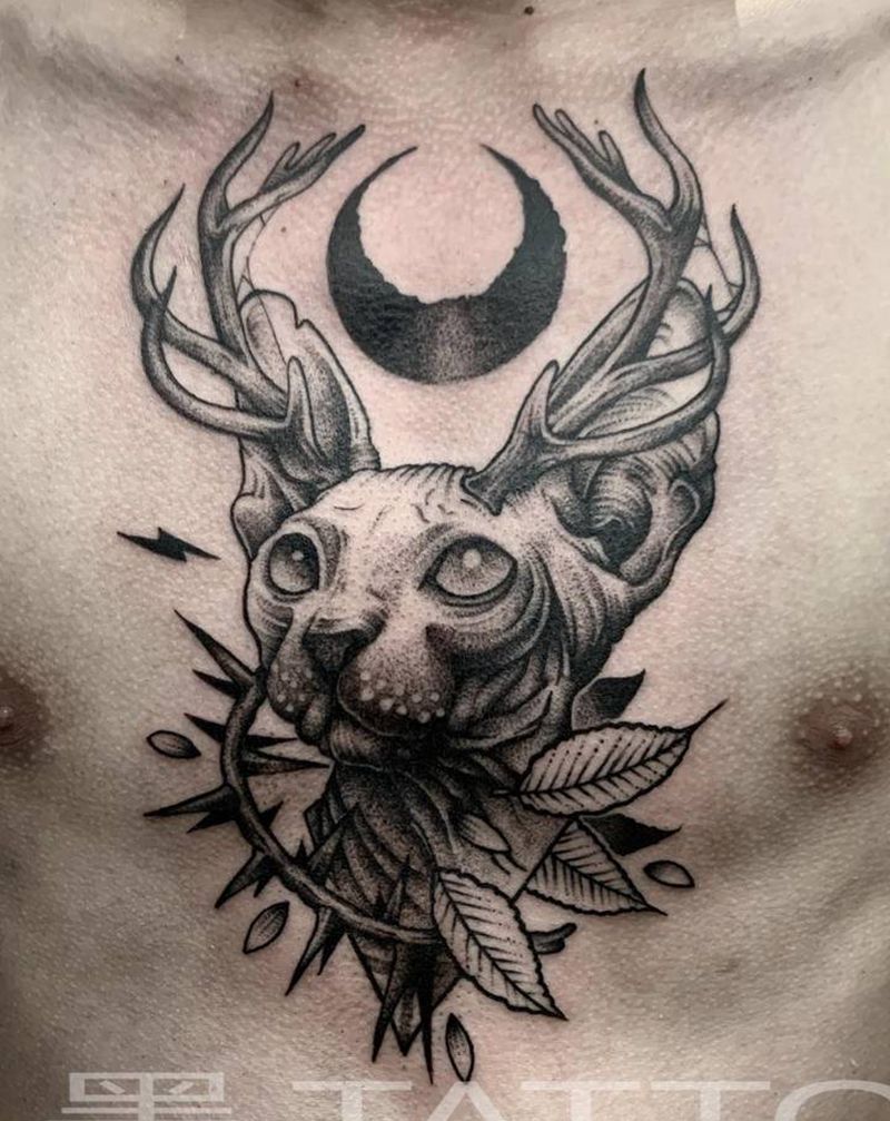 点刺比鲁斯纹身图片_胸部点刺欧美写实纹身图案