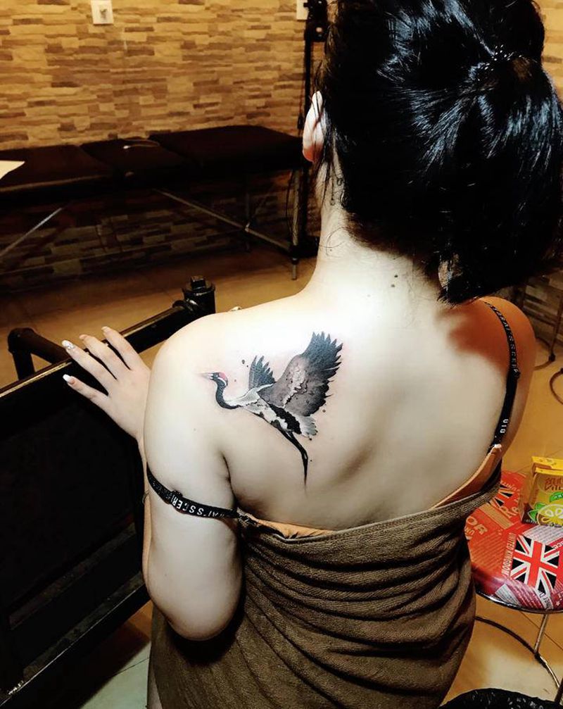 丹顶鹤纹身图片_肩部纹身图案