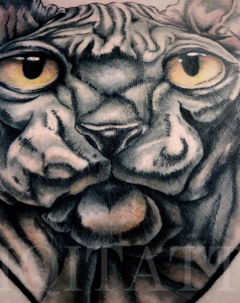 无毛猫纹身图片_胸部纹身图案