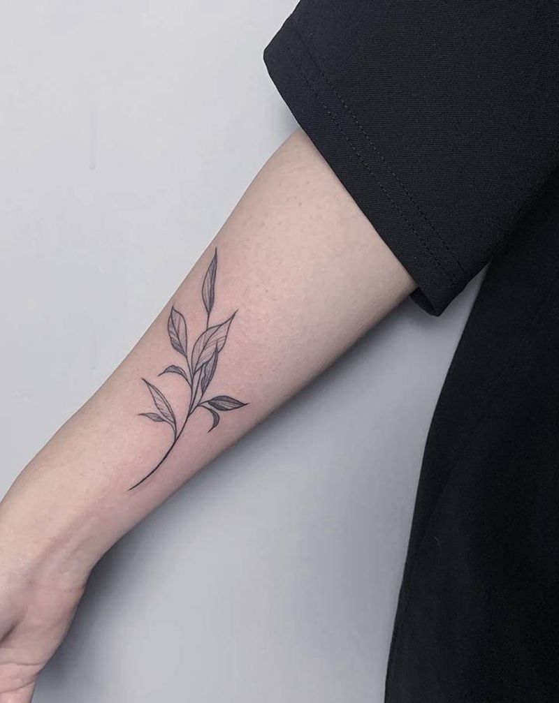 叶子纹身图片_手臂纹身图案
