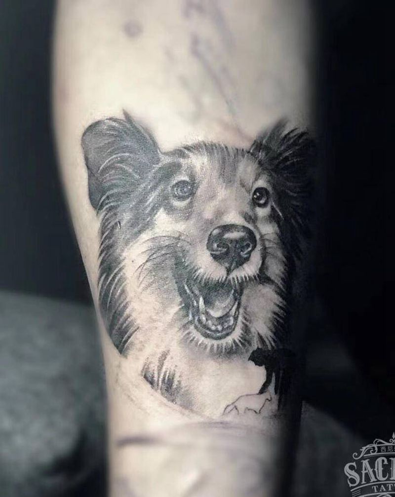 狗（未完成）纹身图片_手臂欧美写实动物纹身图案