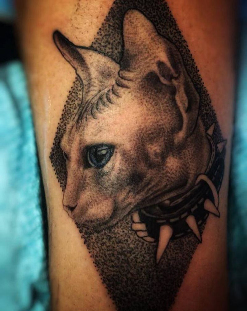 斯芬克斯无毛猫纹身图片_腿部欧美写实纹身图案