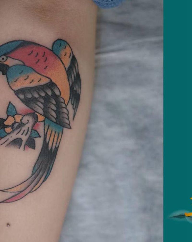 鸟纹身图片_New School纹身图案