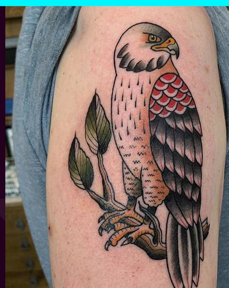 鹰纹身图片_手臂Old School纹身图案