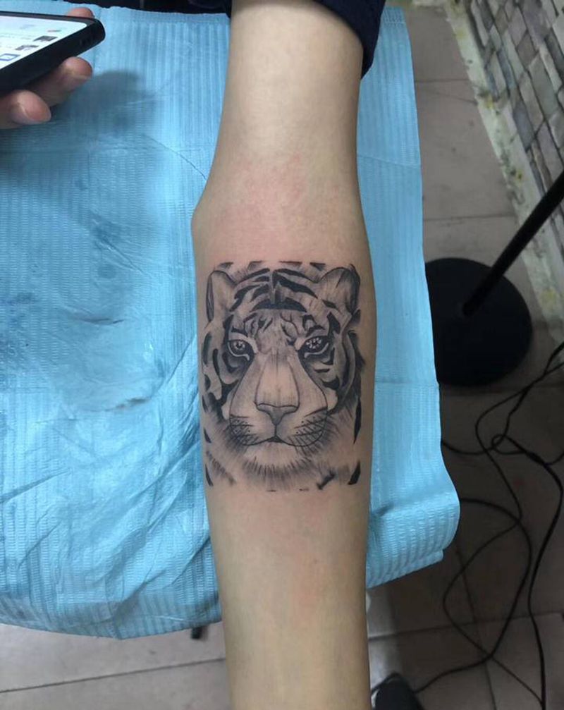 小脑虎纹身图片_手臂新传统纹身图案