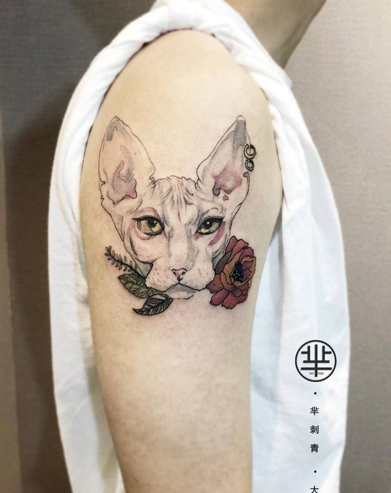 无毛猫纹身图片_手臂纹身图案