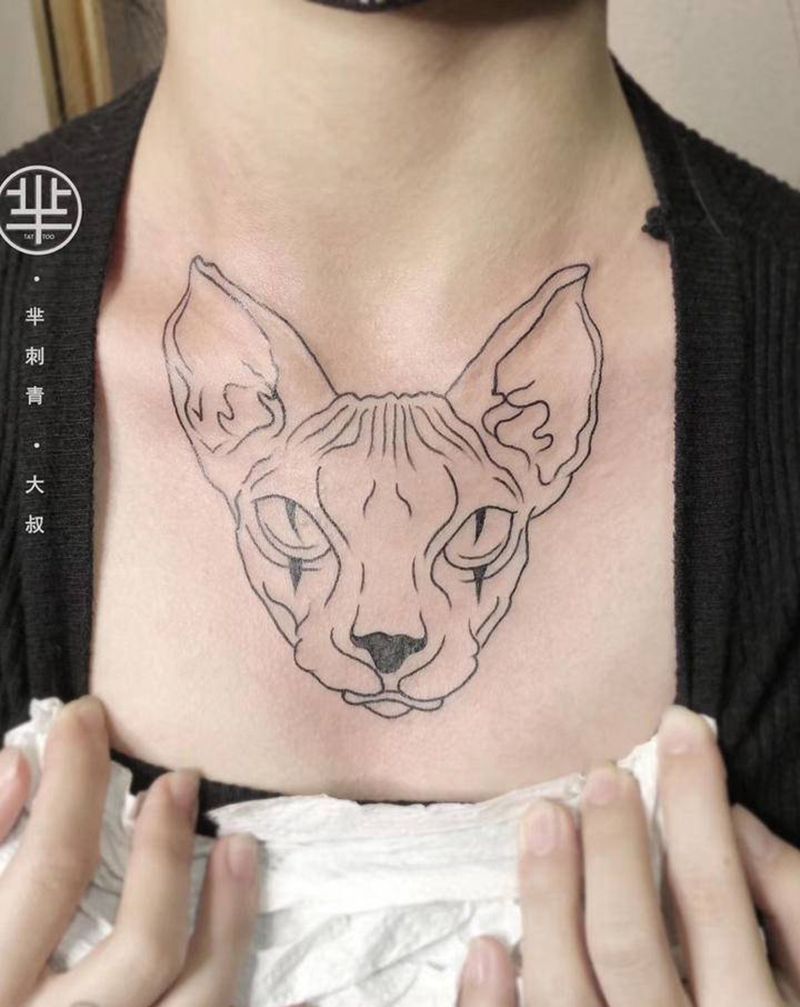 无毛猫纹身图片_胸部纹身图案