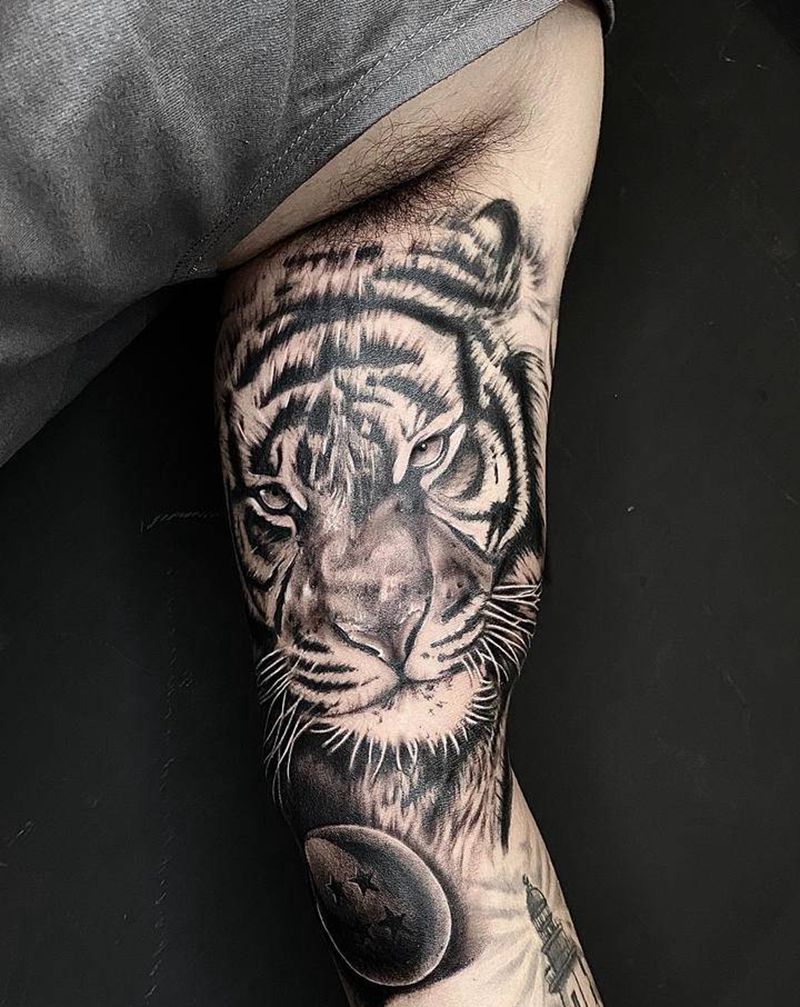 写实老虎纹身图片_手臂欧美写实纹身图案