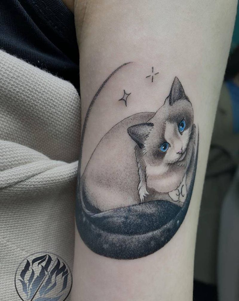 猫咪遮盖纹身图片_手臂猫纹身图案