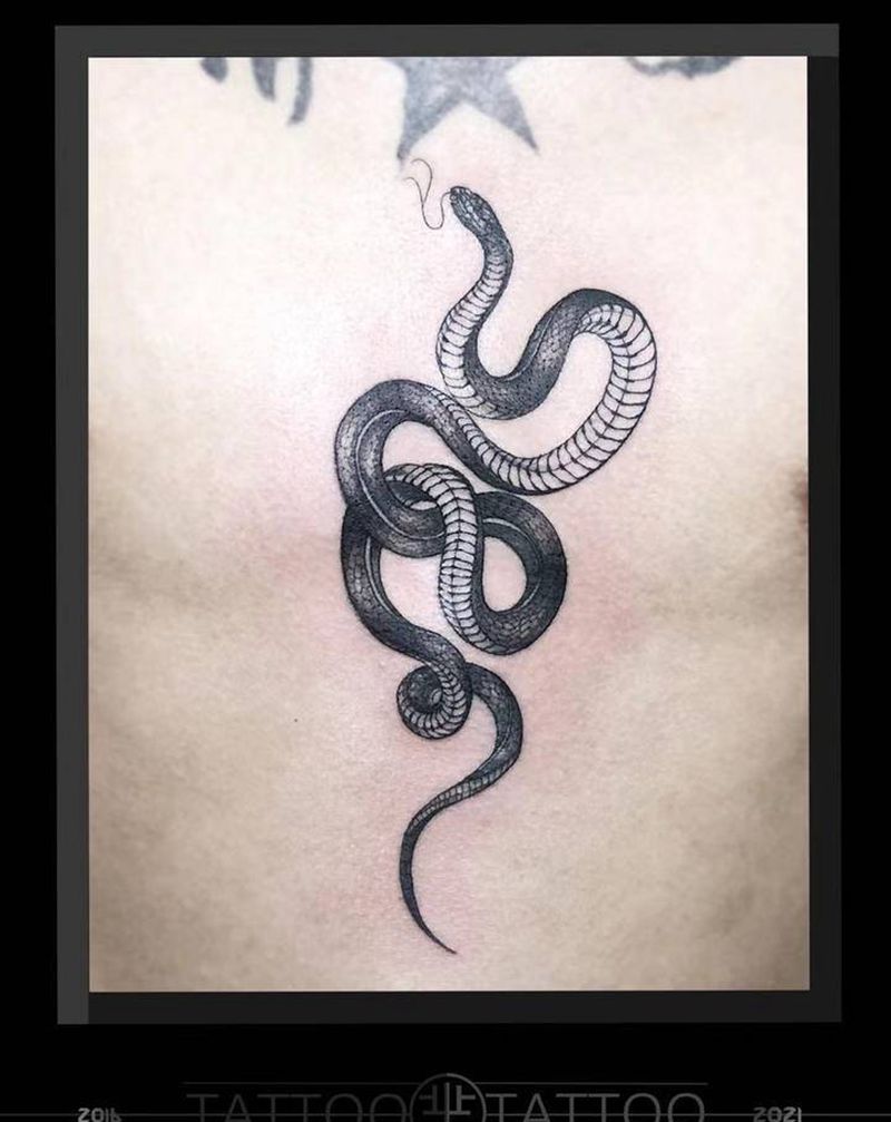 蛇纹身图片_胸部手臂纹身图案